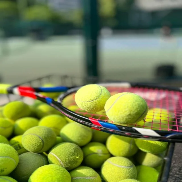 郑钦文温网后续签运曝光硬地赛前景再评估